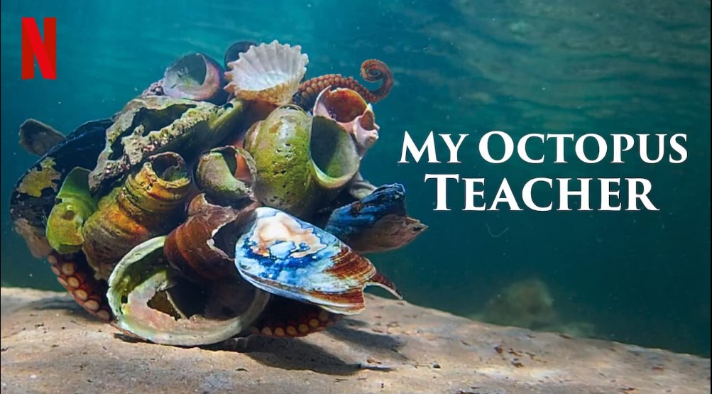 My Octopus Teacher