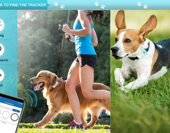 dog tracker without subscription