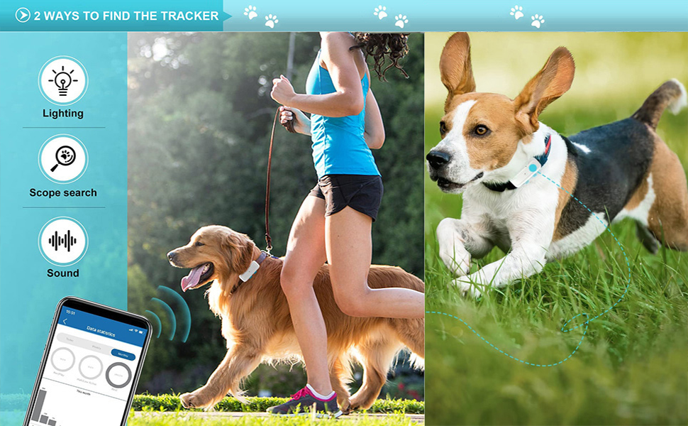 dog tracker without subscription